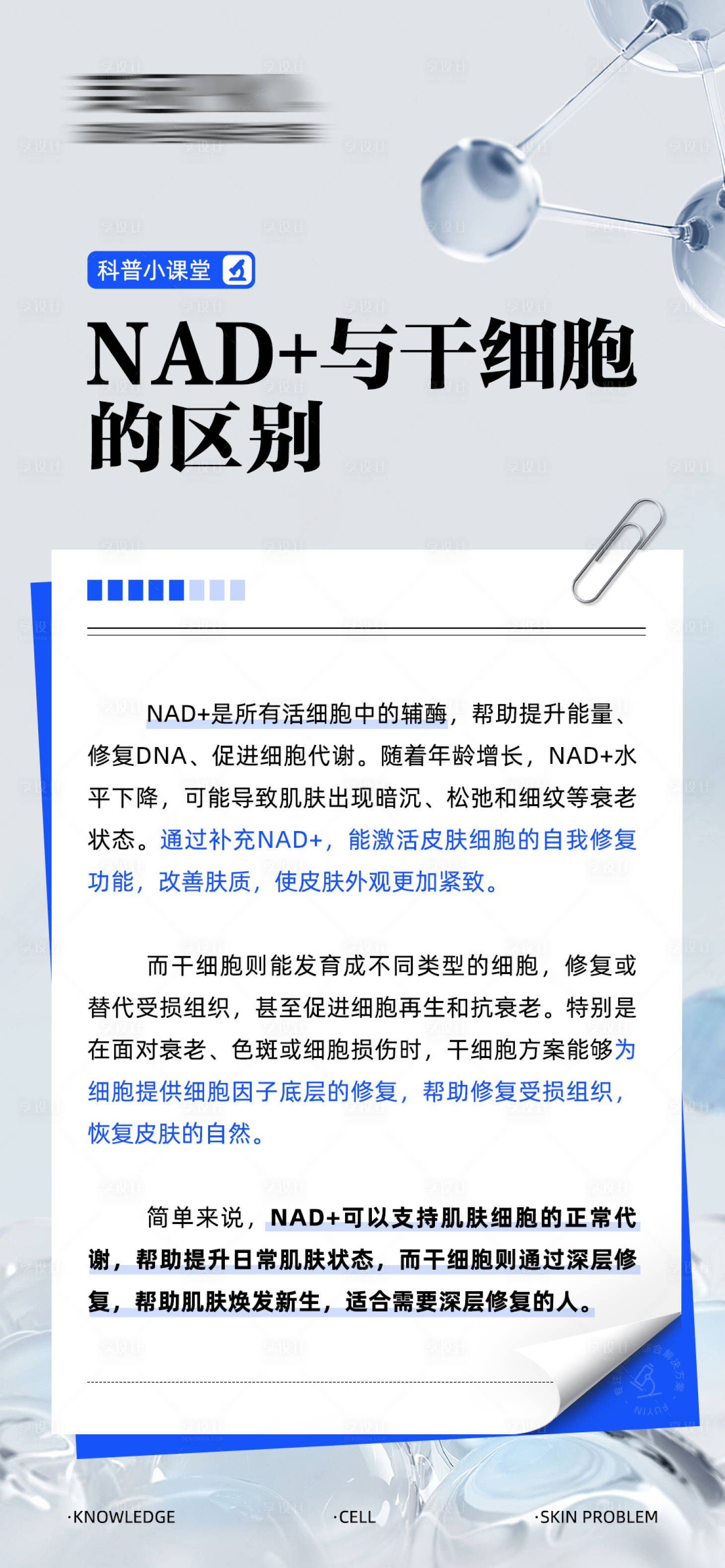 源文件下载【享设计】搜索编号：74390027889307992【NAD+与干细胞的区别】