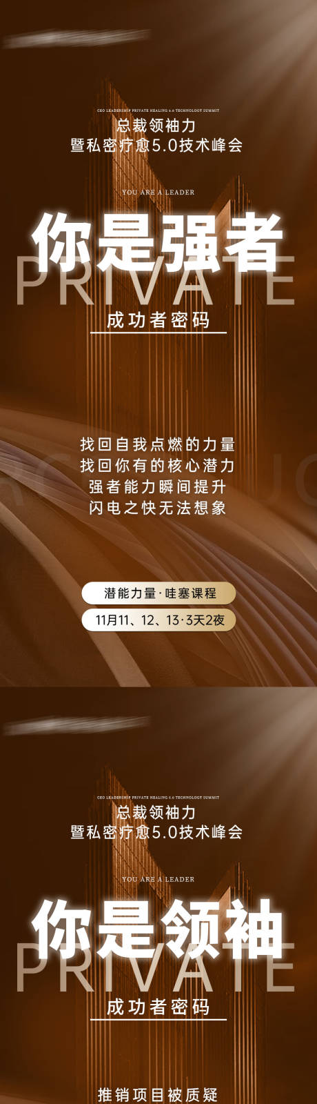 源文件下载【医美私密疗愈招商造势宣传海报】编号：58510027976591330