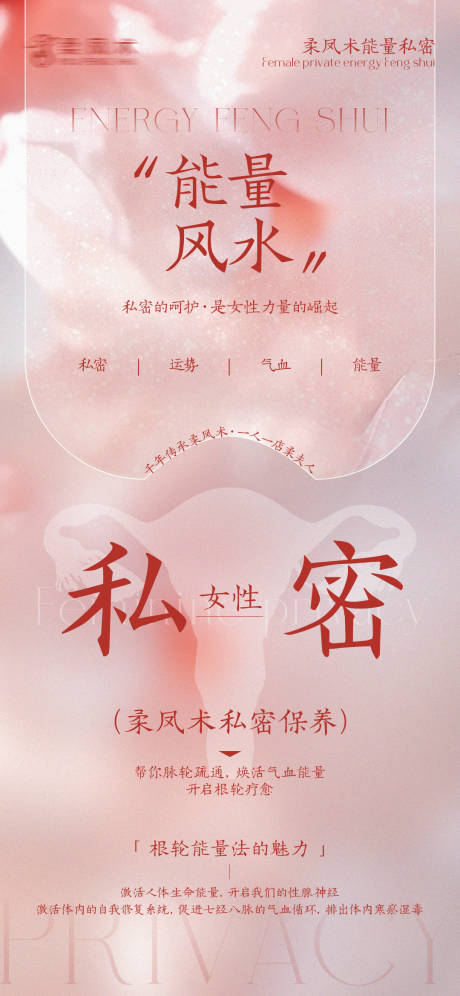 女性私密能量风水海报