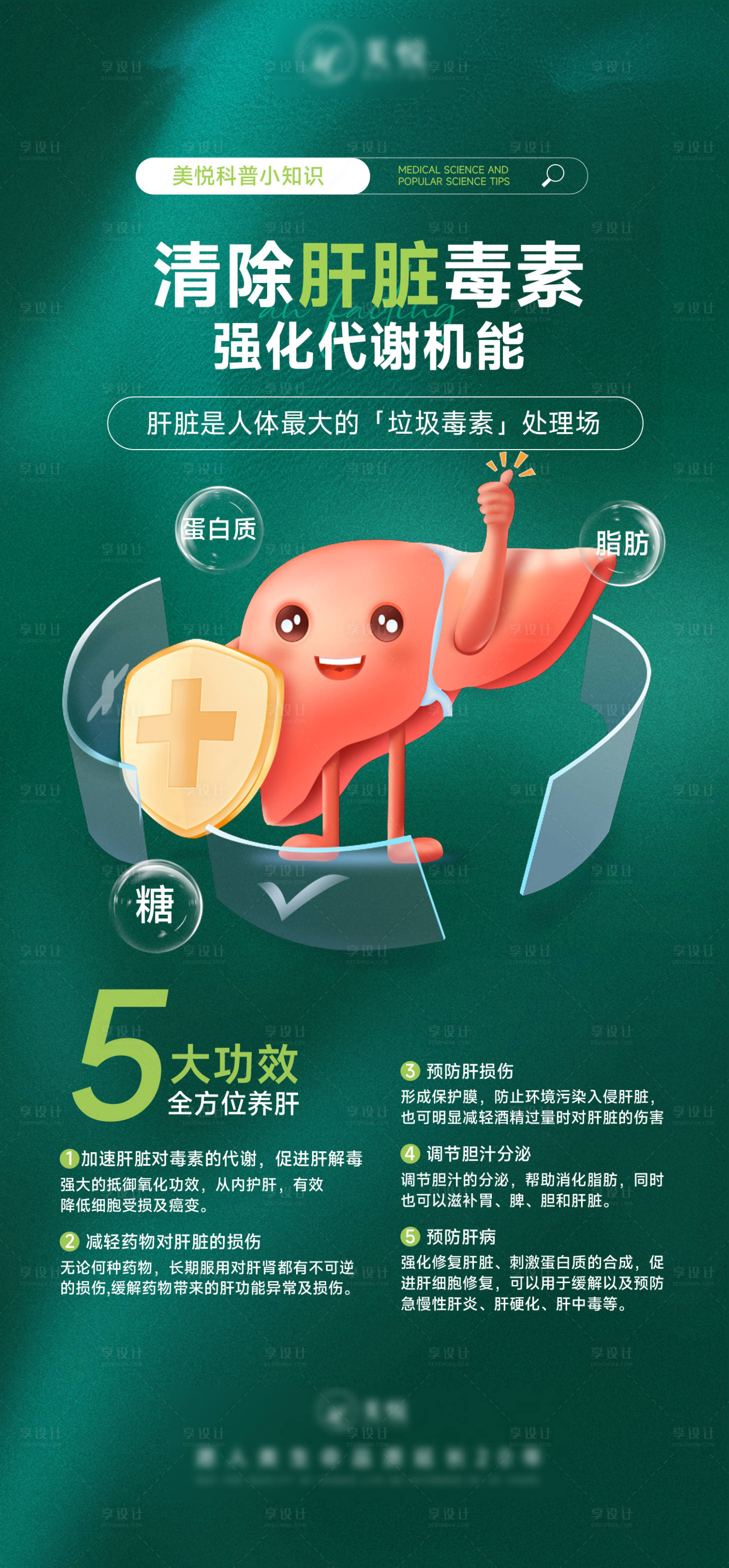 源文件下載【享設計】搜索編號：80980028129731480【清除肝臟毒素】