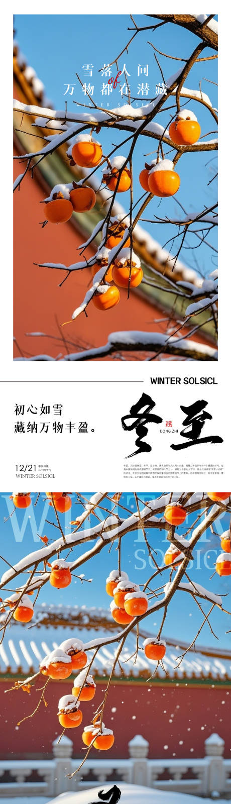 源文件下载【大雪冬至节气系列海报】编号：50620027653651647