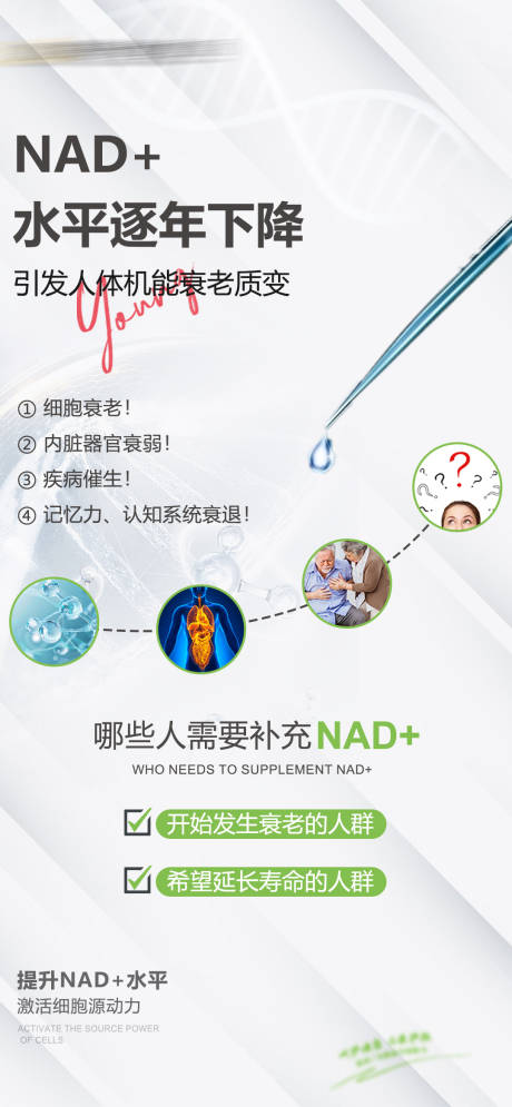 源文件下载【享设计】搜索编号：13500028113635055【NAD+科普健康海报】