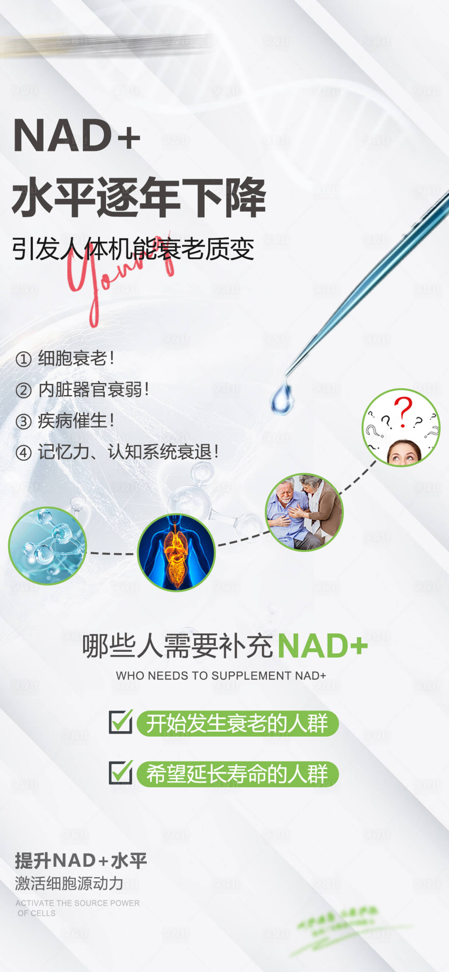 源文件下载【享设计】搜索编号：13500028113635055【NAD+科普健康海报】