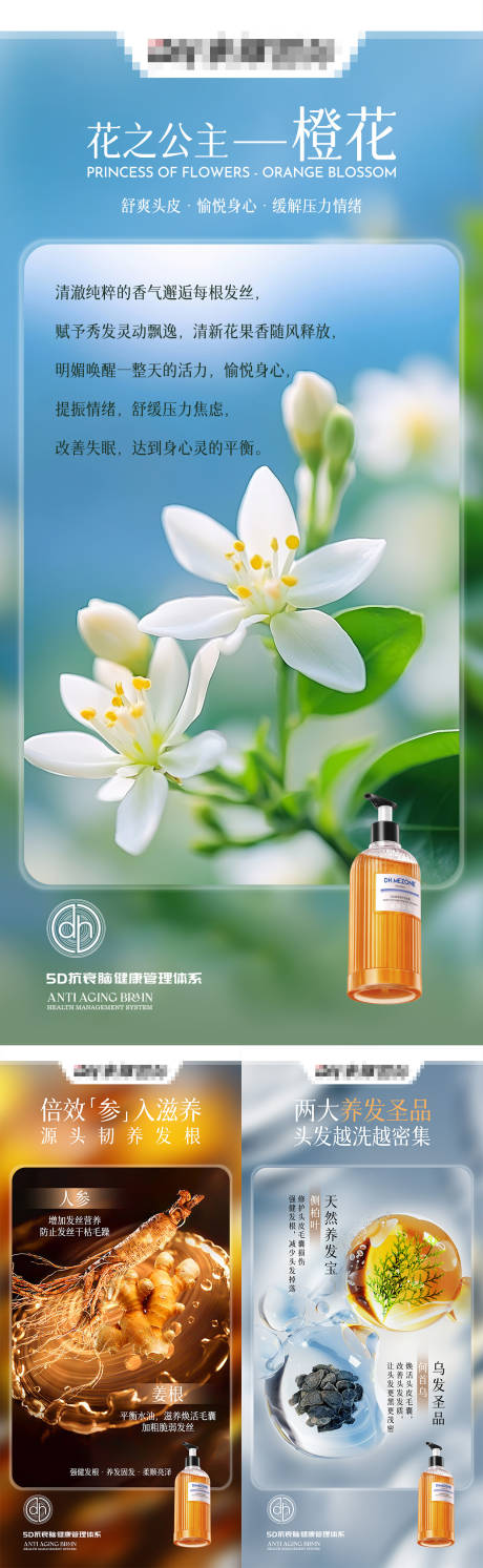源文件下載【享設計】搜索編號：59070027822035677【洗發水成分海報】