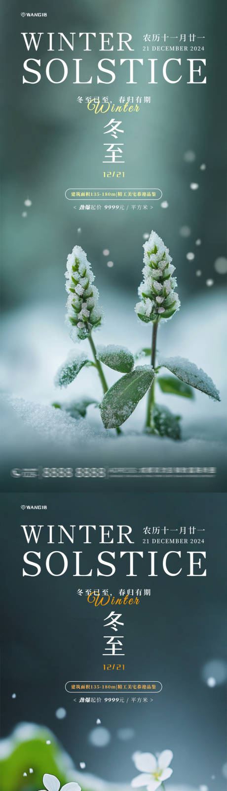 源文件下载【享设计】搜索编号：64940027605885663【冬至植物海报】