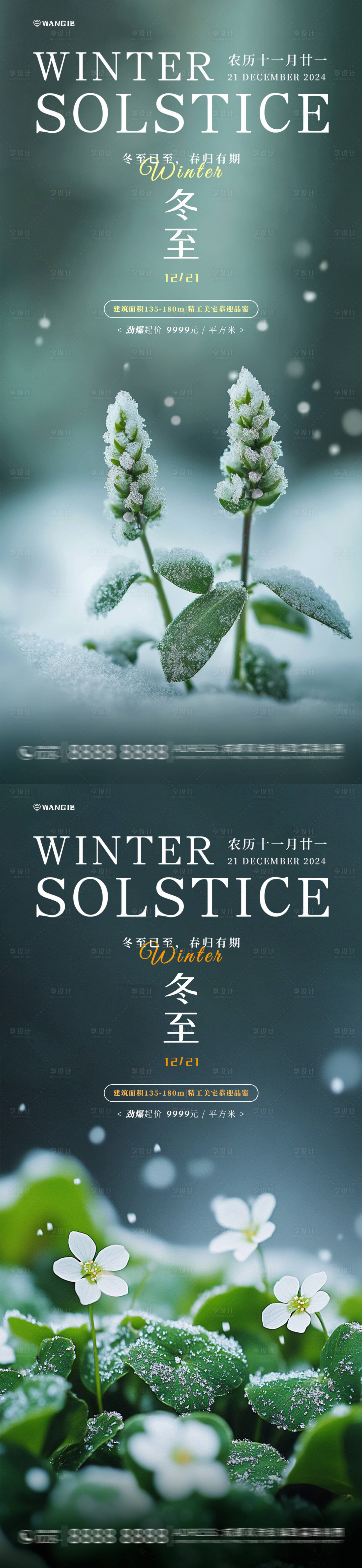 源文件下載【享設計】搜索編號：64940027605885663【冬至植物海報】