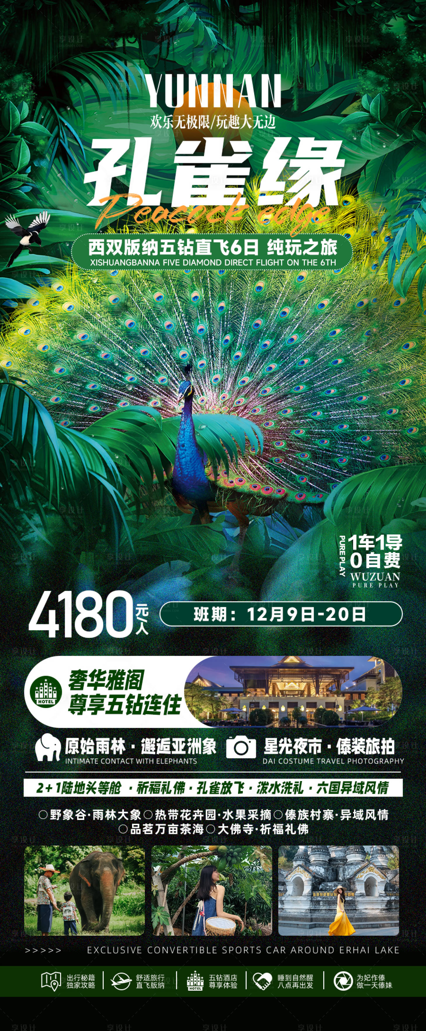 源文件下載【享設(shè)計(jì)】搜索編號(hào)：94050027617144471【孔雀緣西雙版納旅游海報(bào)】