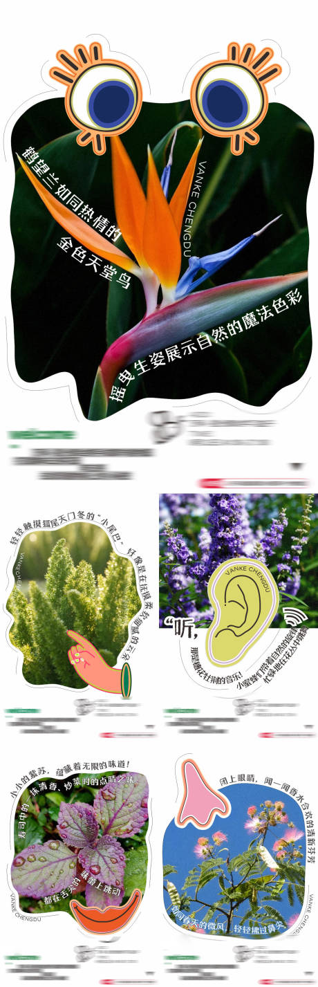 源文件下载【五感植物园系列海报】编号：71350027779221730