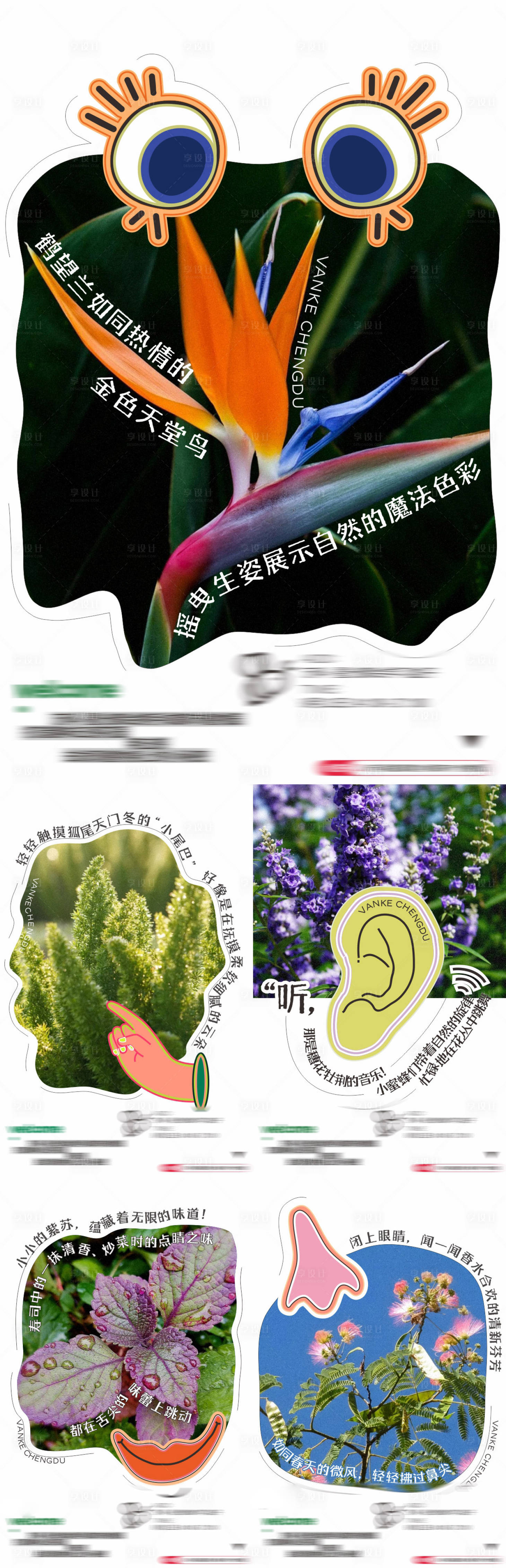 源文件下载【享设计】搜索编号：71350027779221730【五感植物园系列海报】