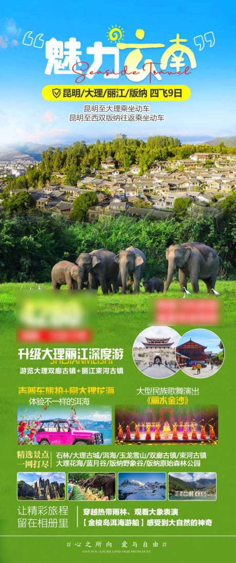 源文件下载【西双版纳旅游海报】编号：31900027643099625