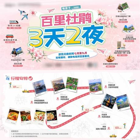 源文件下载【百里杜鹃折页 】编号：98470027752582431