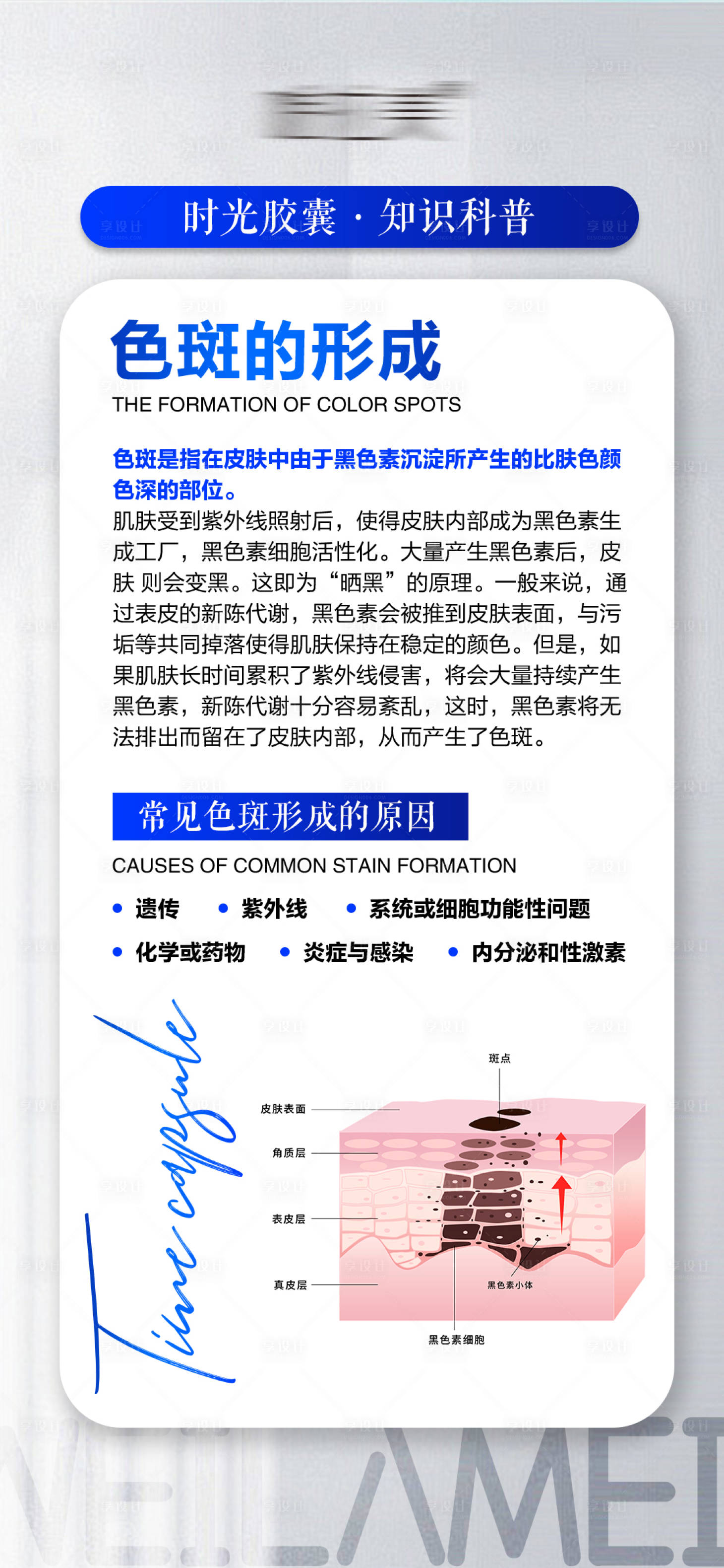 源文件下载【享设计】搜索编号：82960027978489436【色斑的形成】
