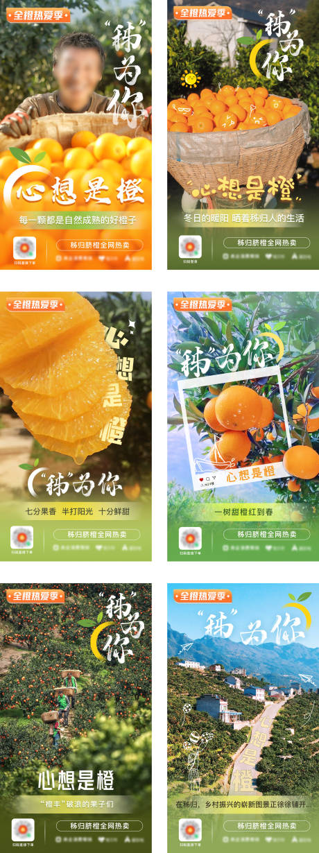 源文件下载【享设计】搜索编号：82170028061817278【脐橙宣传系列海报】