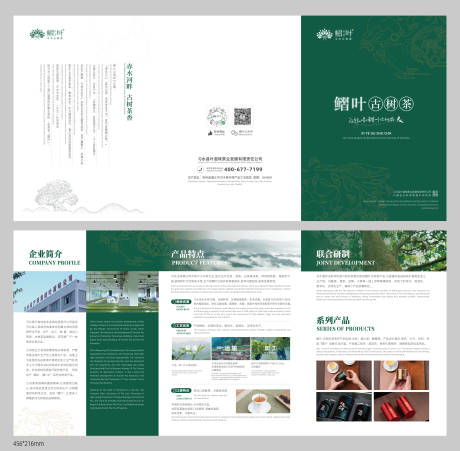 古树茶叶品牌宣传折页