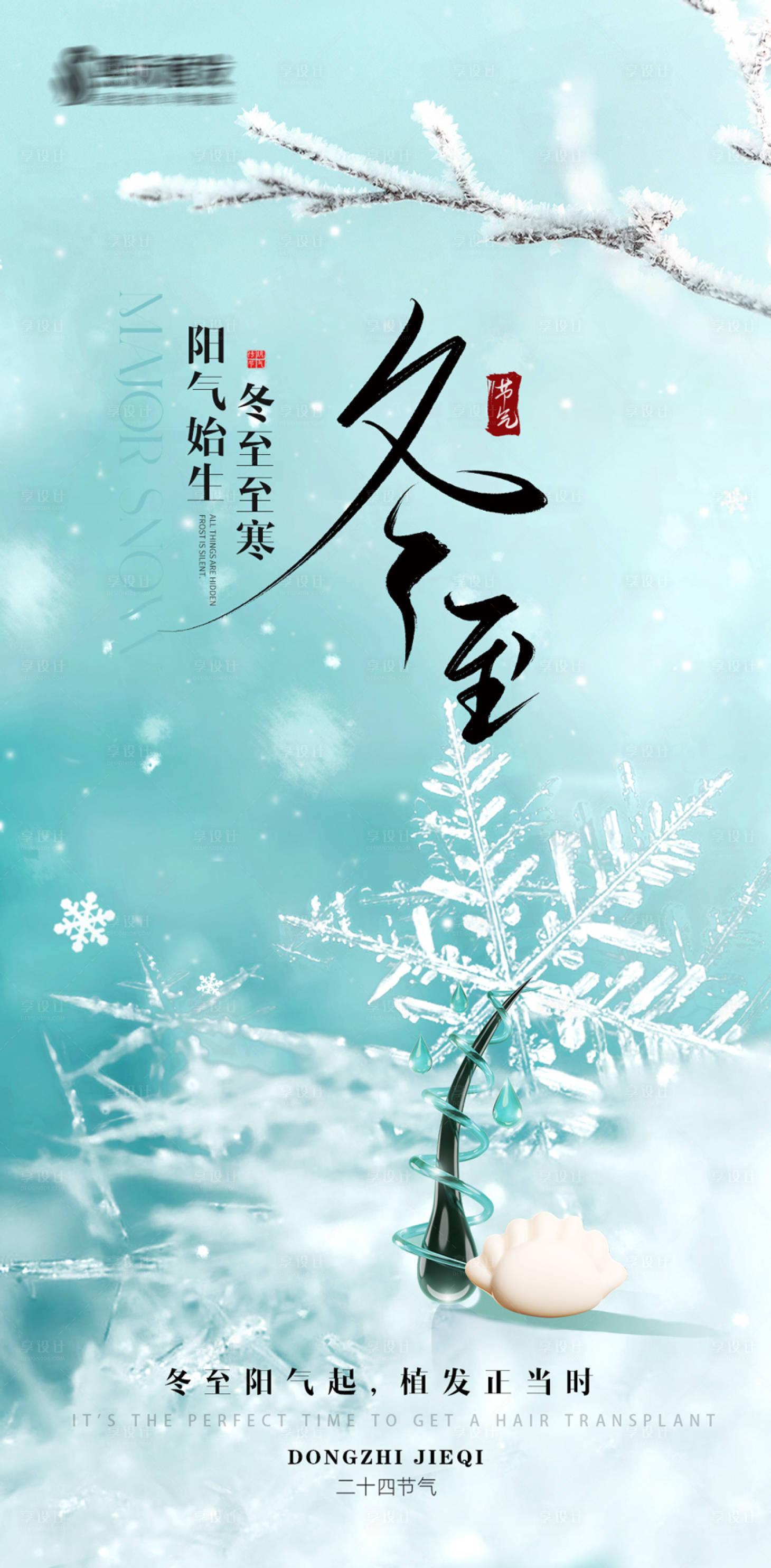 源文件下载【冬至节气植发海报】编号：94530027990898544