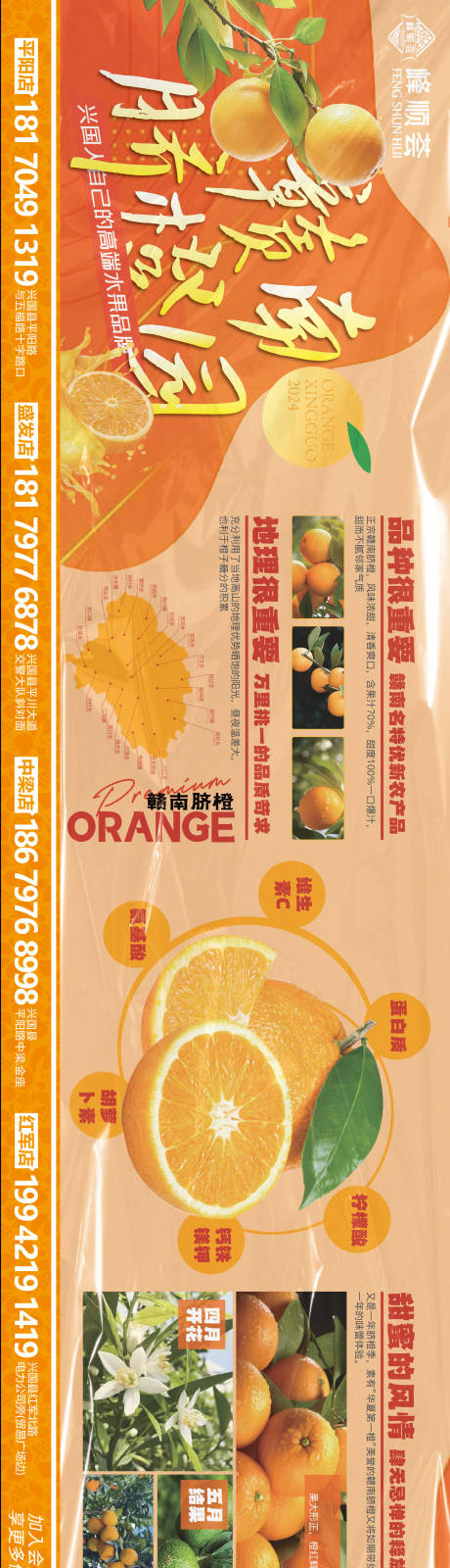 源文件下载【享设计】搜索编号：57850027791731622【赣南脐橙生态水果】