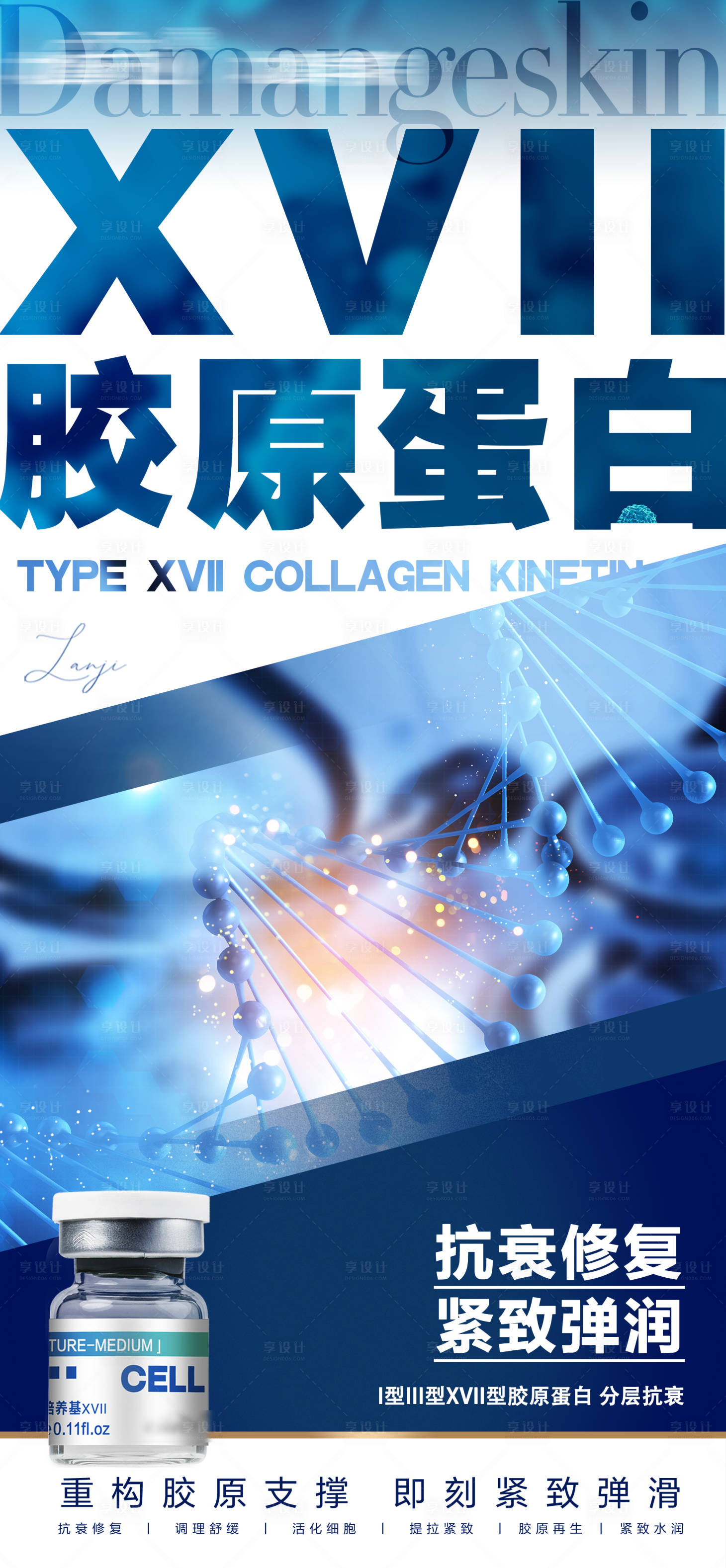 源文件下載【享設計】搜索編號：68040028179898658【XVII型膠原蛋白】