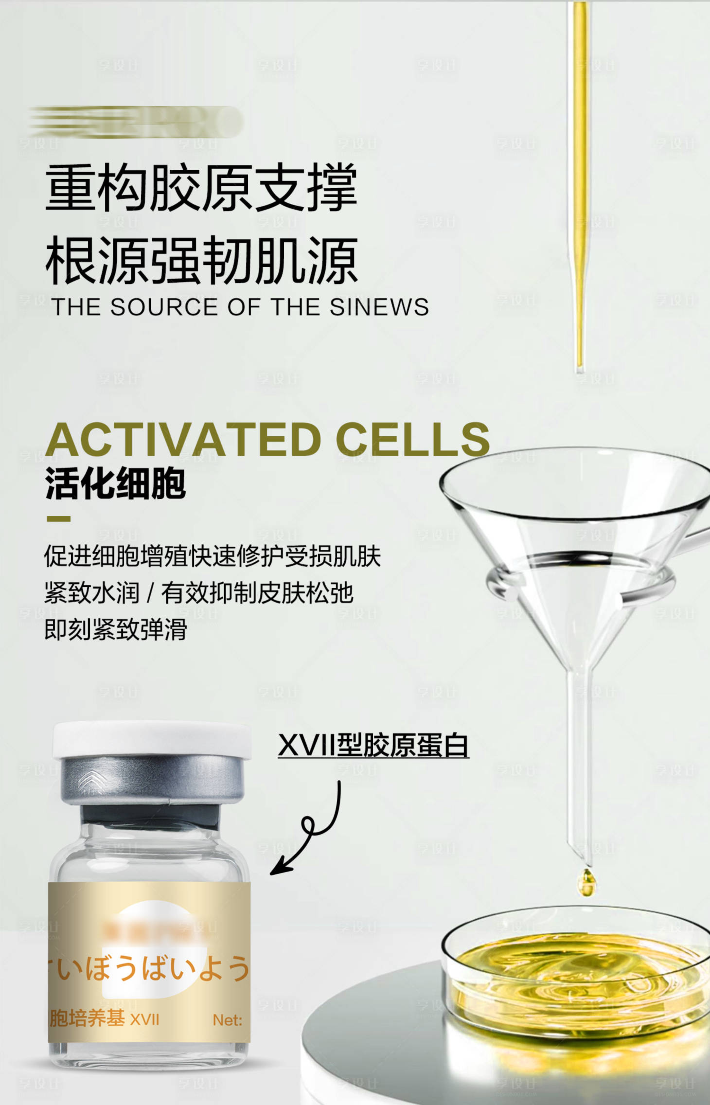 源文件下載【享設計】搜索編號：34140028291836326【XVII型膠原蛋白產品科普海報】
