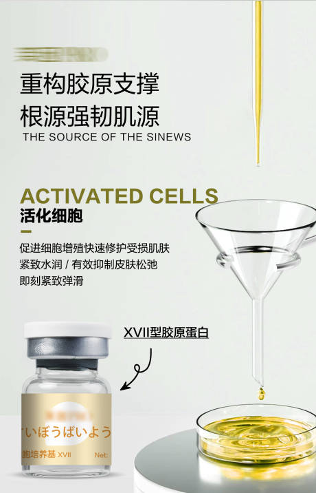 XVII型胶原蛋白产品科普海报