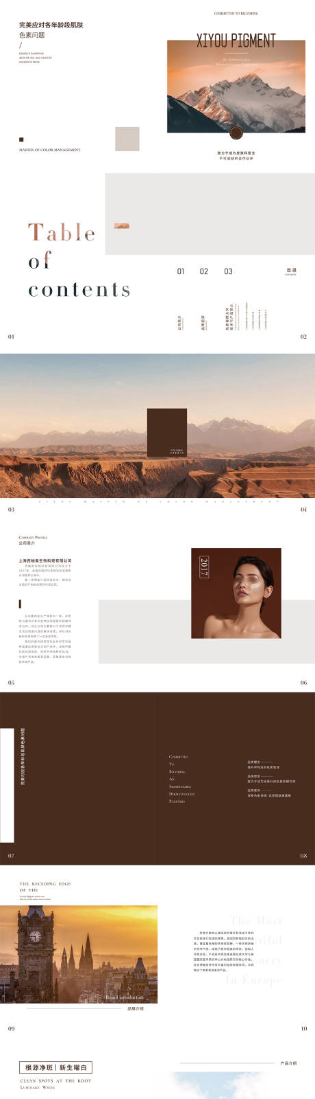 源文件下载【棕色系医美护肤祛色素产品宣发画册】编号：69670028496654306