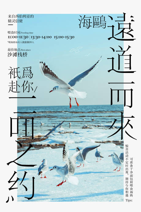 源文件下载【海鸥海报】编号：16420028504087572