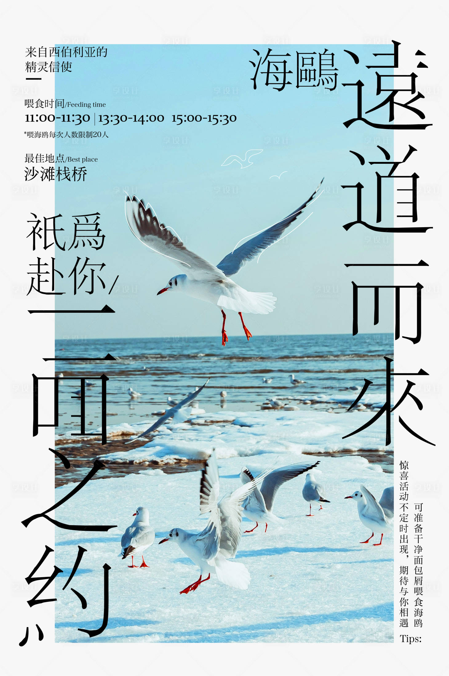 源文件下載【享設(shè)計(jì)】搜索編號(hào)：16420028504087572【海鷗海報(bào)】