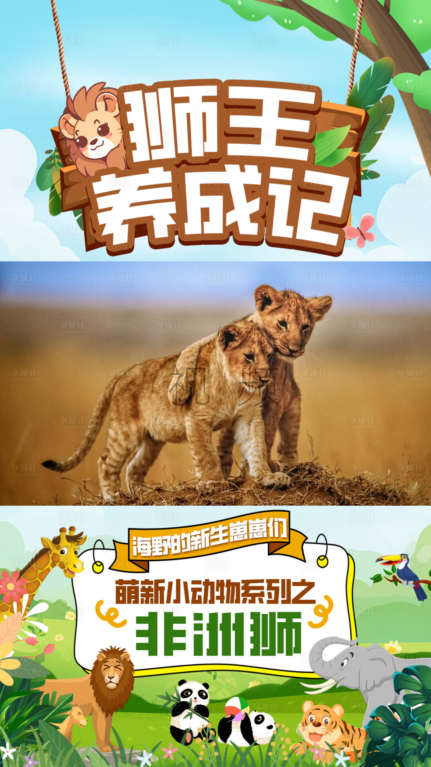 源文件下载【野生动物园视频封面】编号：46970028257051770