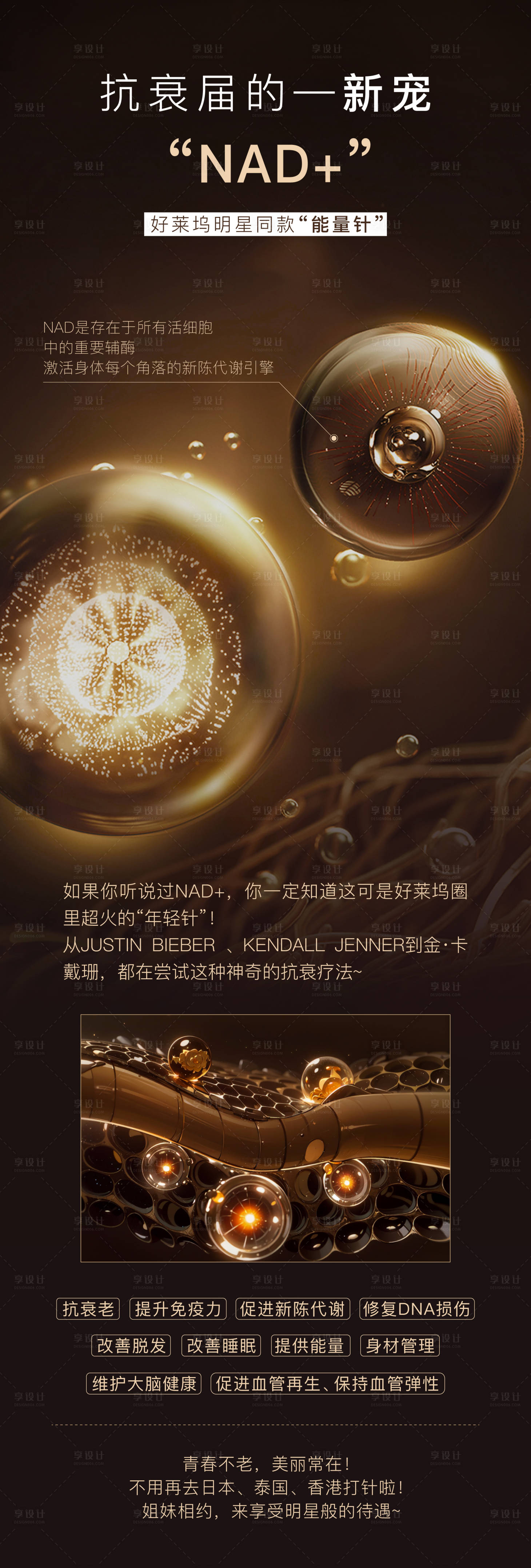 源文件下载【享设计】搜索编号：31640028452141337【产品海报】