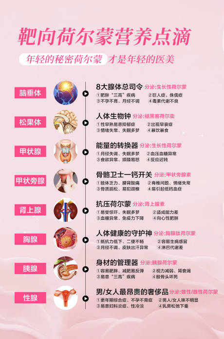 源文件下载【荷尔蒙介绍海报】编号：30870028568959788