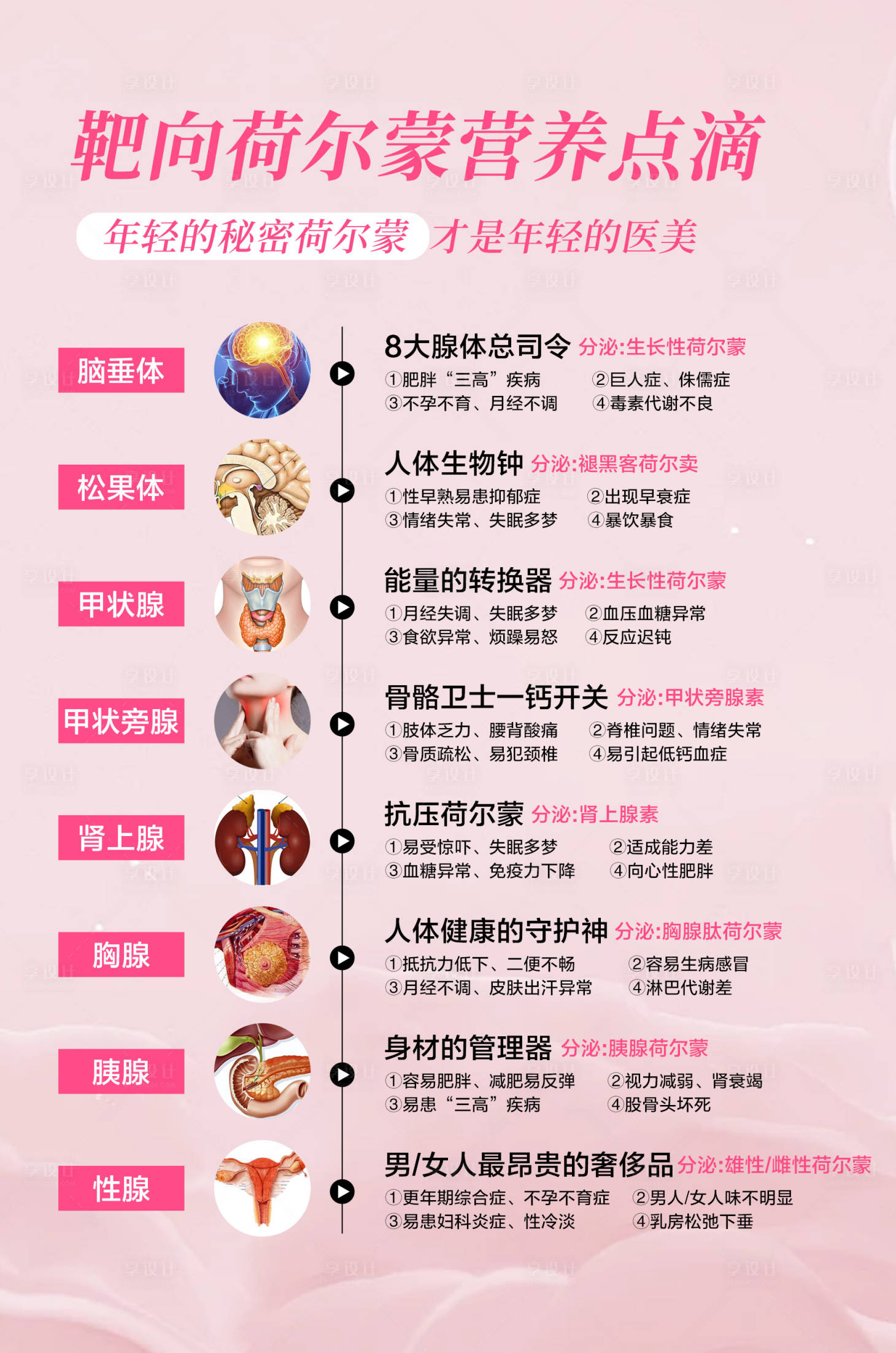 源文件下载【享设计】搜索编号：30870028568959788【荷尔蒙介绍海报】