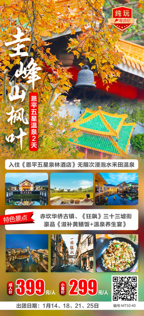 恩平五星温泉旅游海报
