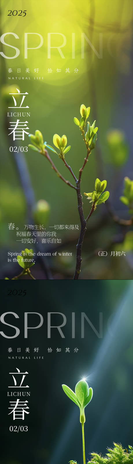 源文件下載【享設計】搜索編號：47750028519869941【立春系列海報】