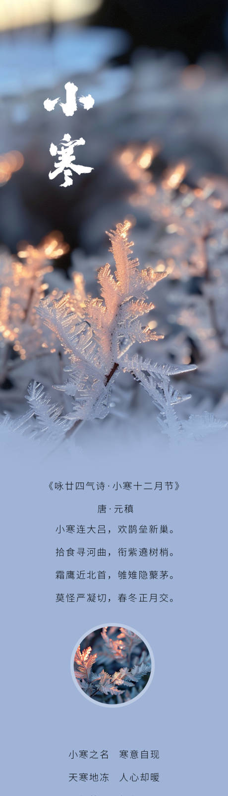 源文件下载【享设计】搜索编号：36920028220692329【小寒长图专题设计】