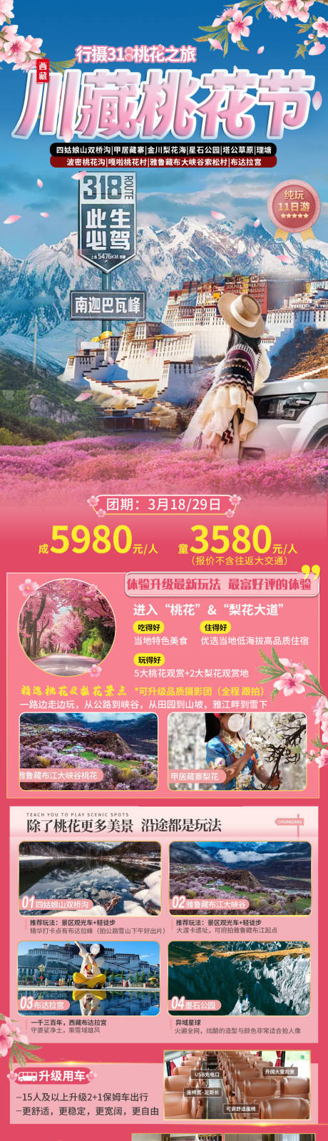 源文件下载【川藏桃花节海报】编号：52670028542987445