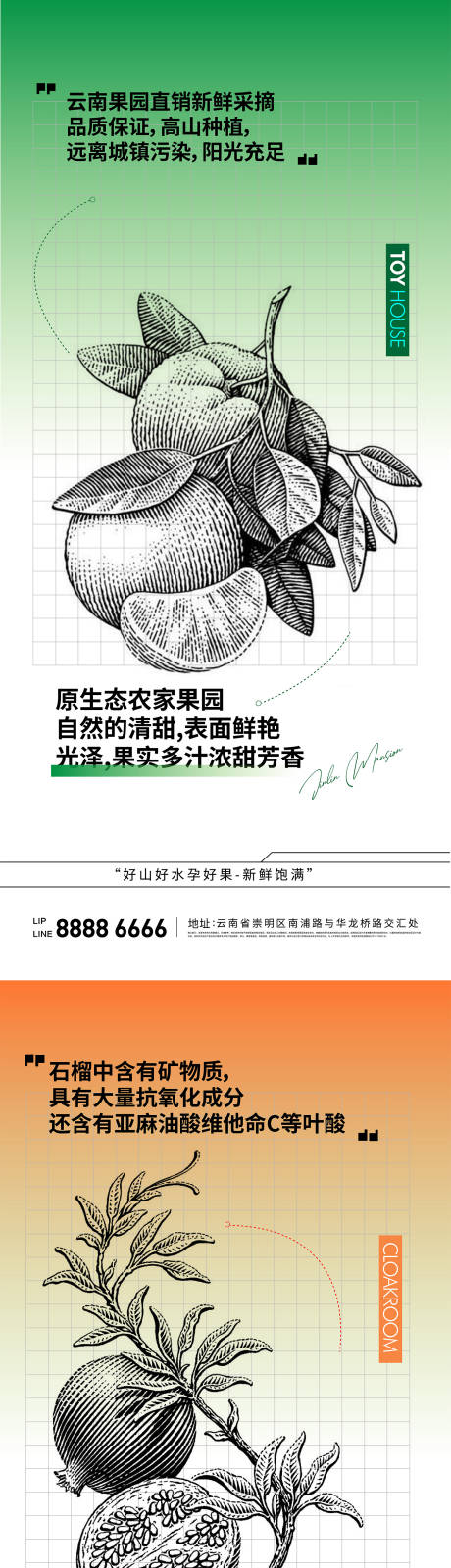 源文件下载【水果版画橘子石榴蓝莓系列海报】编号：65860028188116301