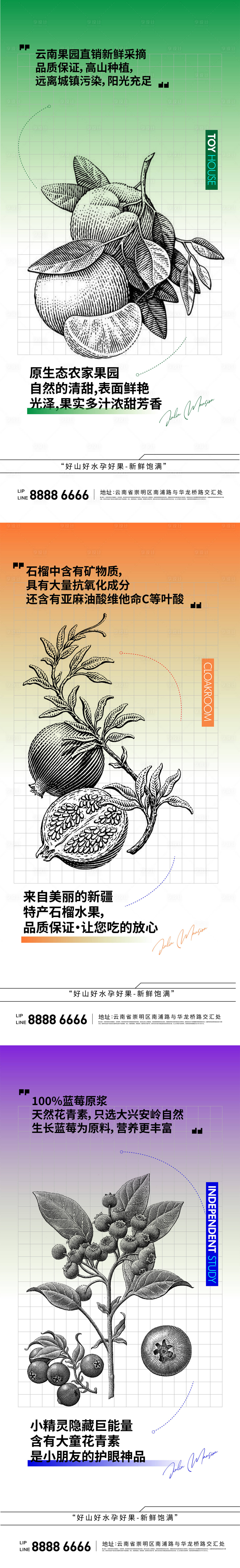 源文件下载【享设计】搜索编号：65860028188116301【水果版画橘子石榴蓝莓系列海报】