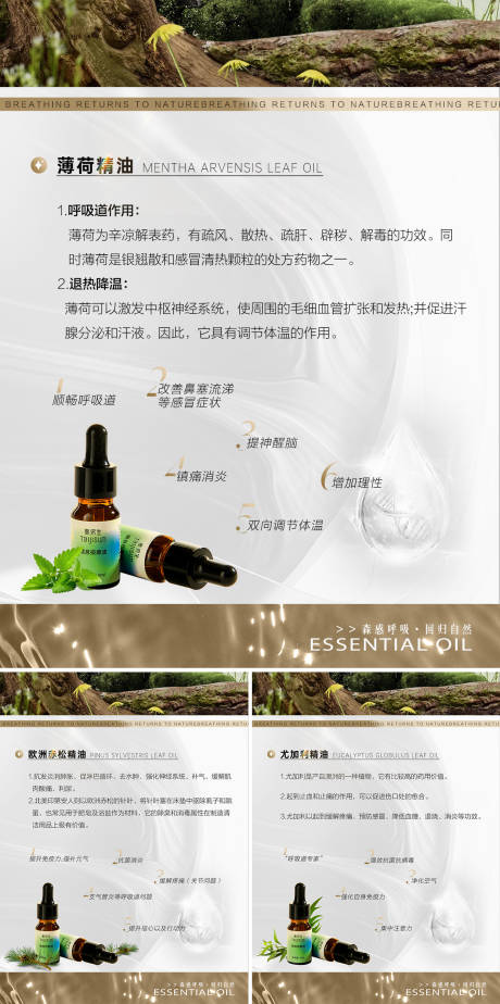 源文件下载【享设计】搜索编号：77280028310186742【精油高级产品知识介绍系列海报】