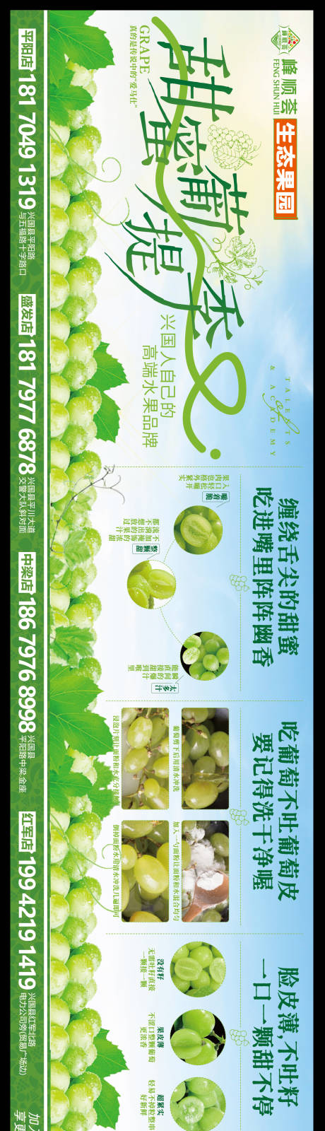 源文件下載【享設計】搜索編號：93210028424724542【青提葡萄陽光玫瑰宣傳海報】