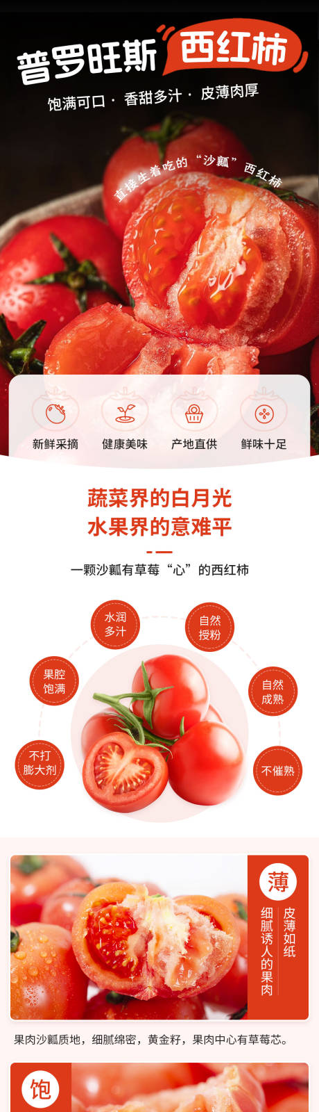 普罗旺斯西红柿番茄水果电商详情页