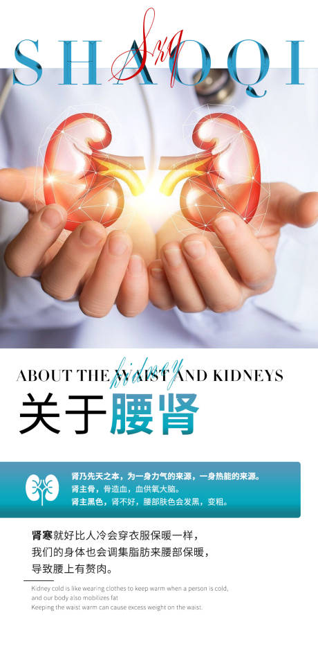 腰肾海报
