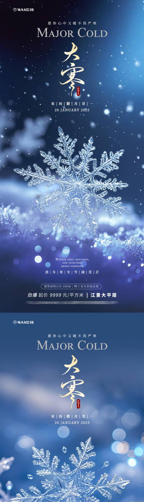 源文件下载【大寒雪花节气海报】编号：29200028402917518