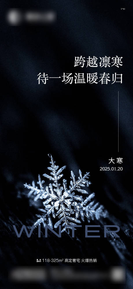 源文件下載【享設計】搜索編號：16440028487062925【大寒節氣海報】