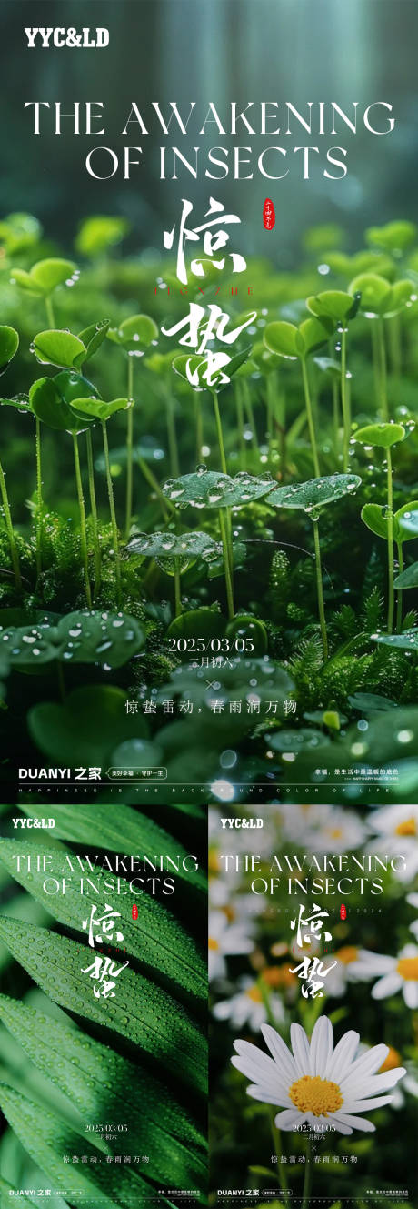 源文件下载【享设计】搜索编号：64690028491809145【惊蛰节气海报】