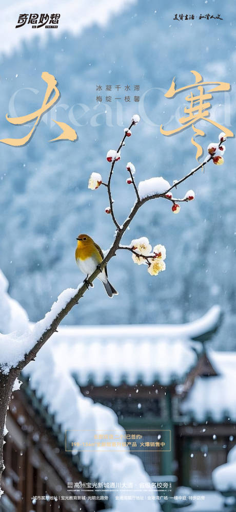 大寒节气海报