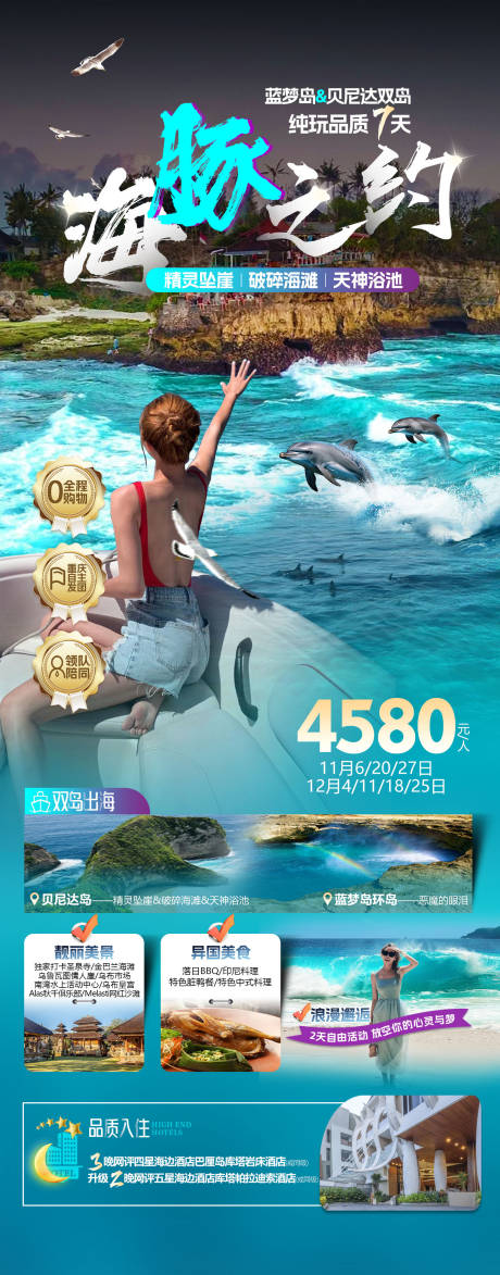 浪漫海豚之约海报