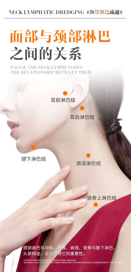 面部与颈部淋巴海报