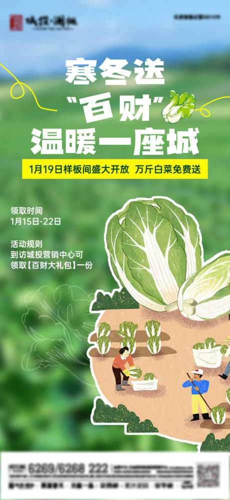 房地产白菜暖冬计划活动海报