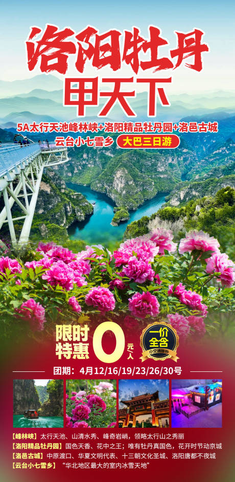 洛阳牡丹旅游海报