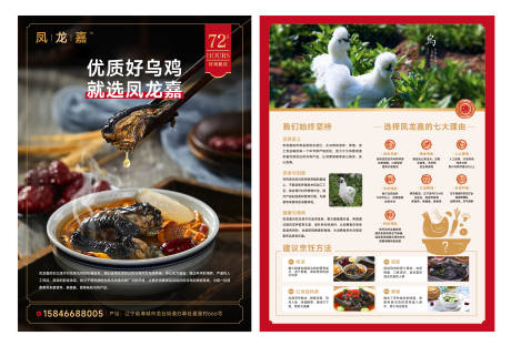乌鸡食品单页宣传页DM