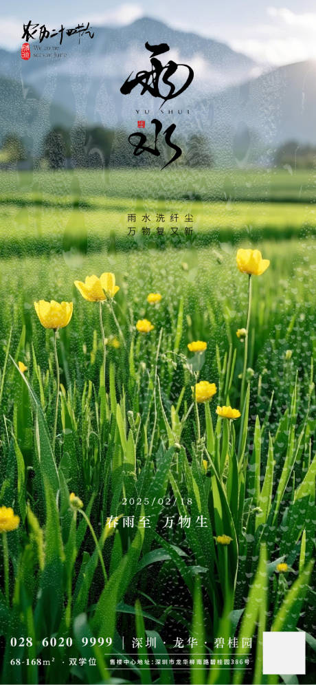 24节气雨水海报